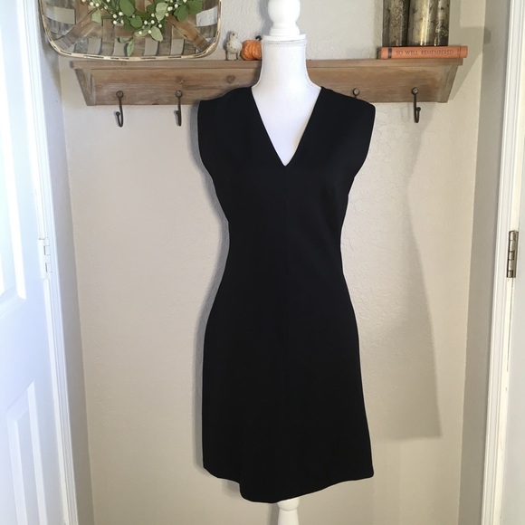 Everlane Dresses & Skirts - Everlane Size 6 Flare Dress V-Neck Black work